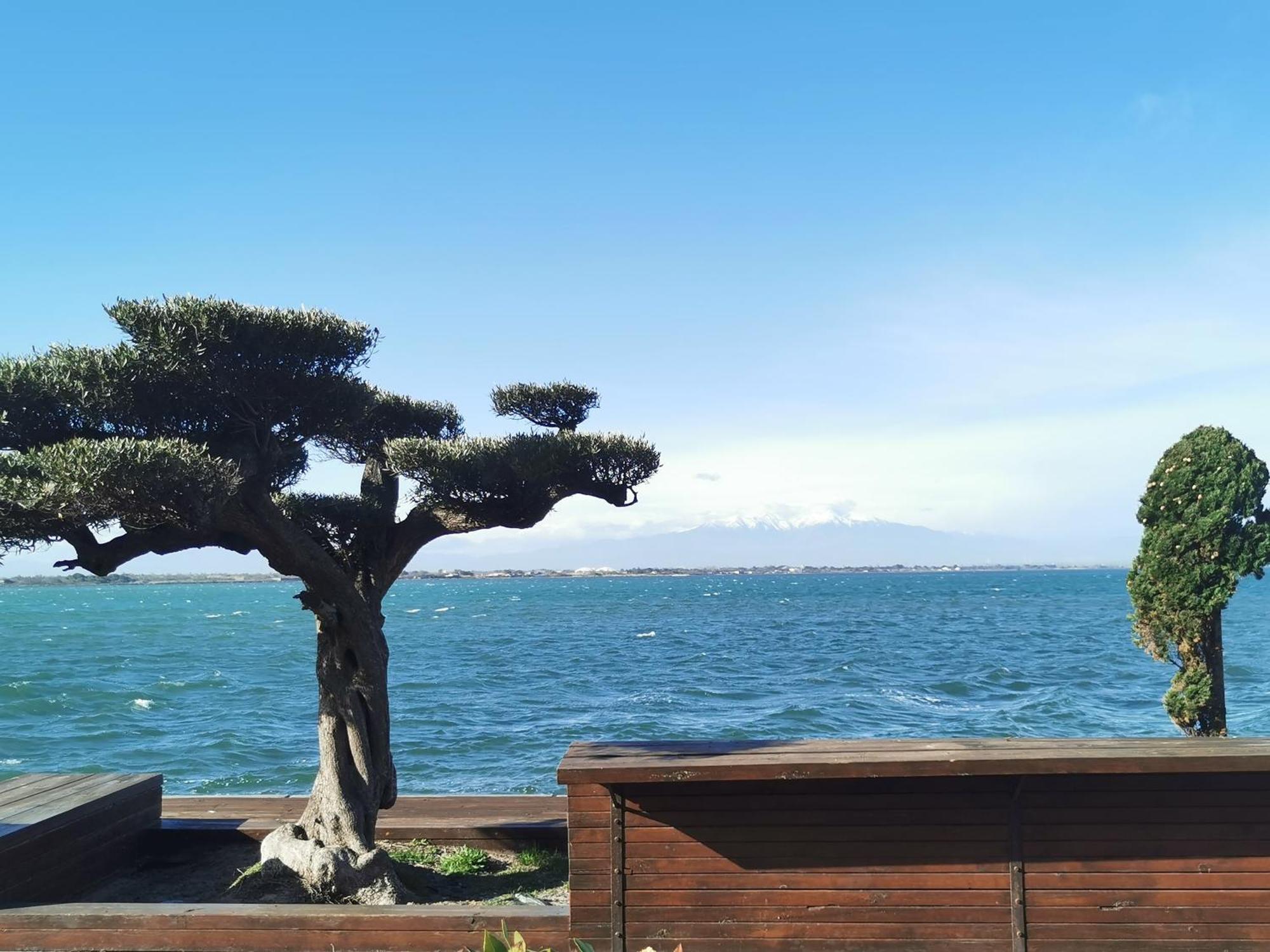 Appartement Cosy Sur La Presqu'Ile De Cap Coudalere Avec Piscine Ouverte Et Chauffee Ле Баркарес Экстерьер фото